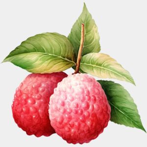 Lychee Thumbnail