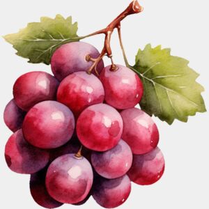 Red Grapes Thumbnail